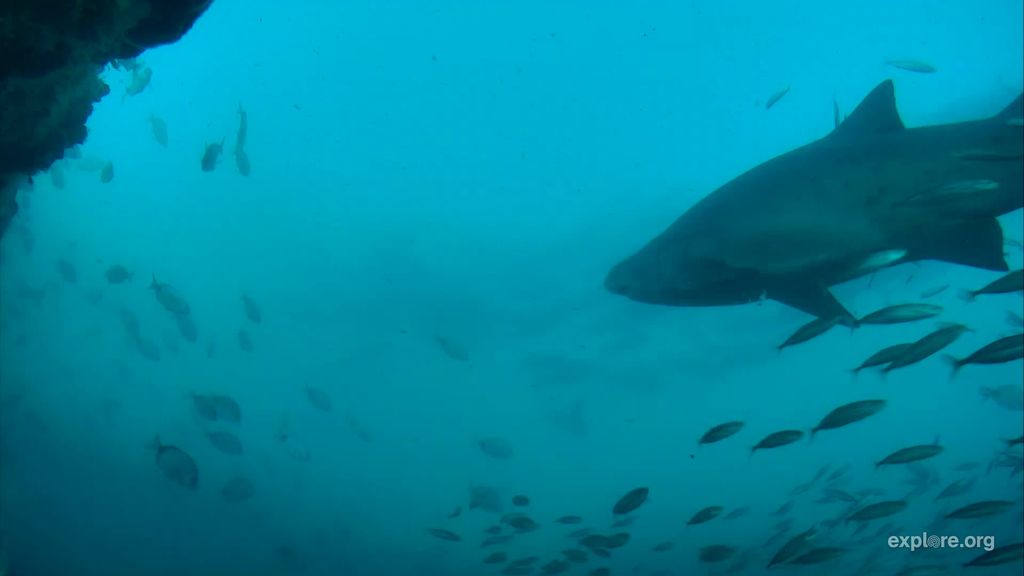 5b112fd7-6a35-44e4-9282-aef97c7544b2