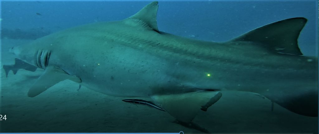 093827b5-a515-4a78-bb9b-16ee29237c7d