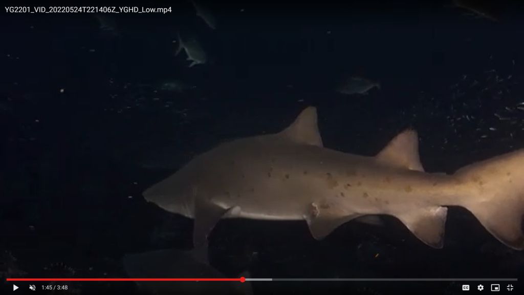 8a33f93a-5213-480a-98d3-6494dbb9ced1