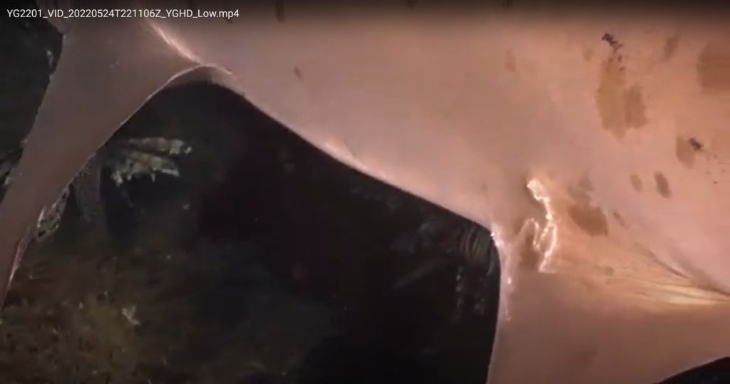 8a33f93a-5213-480a-98d3-6494dbb9ced1