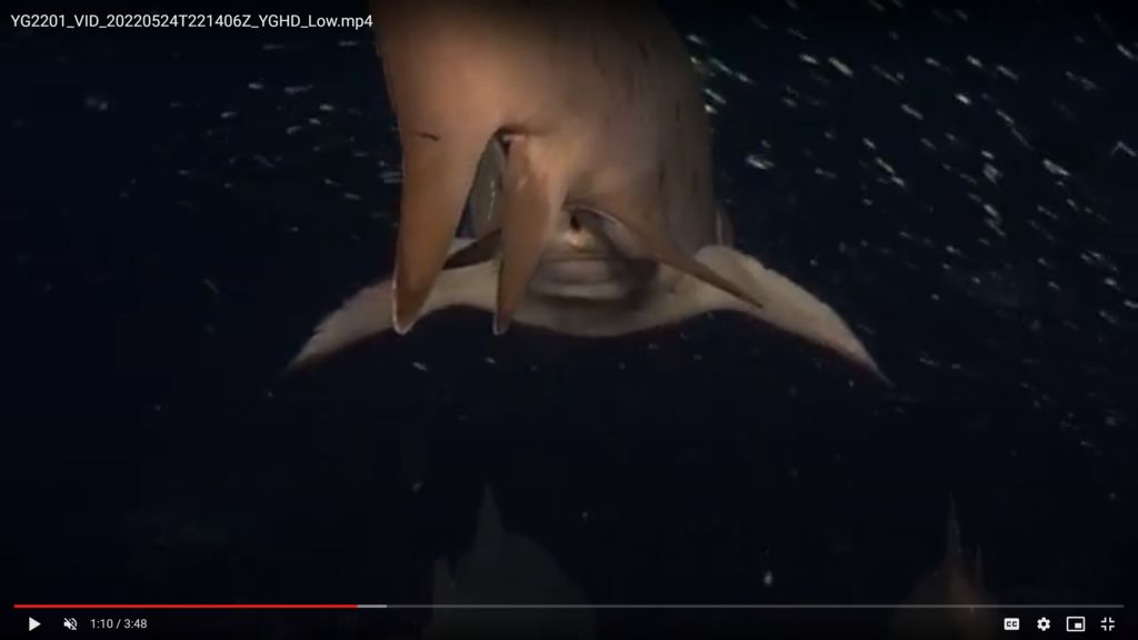 8a33f93a-5213-480a-98d3-6494dbb9ced1