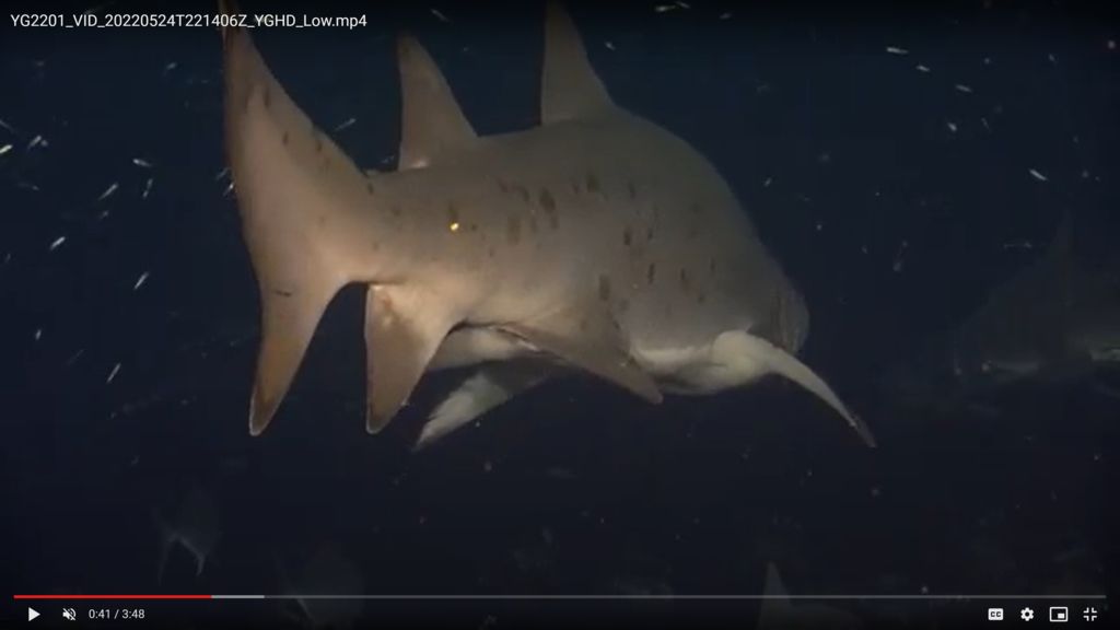 8a33f93a-5213-480a-98d3-6494dbb9ced1