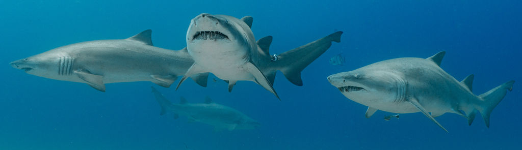 f2660a01-1cbc-4296-9cd6-77bbf6f3ce48