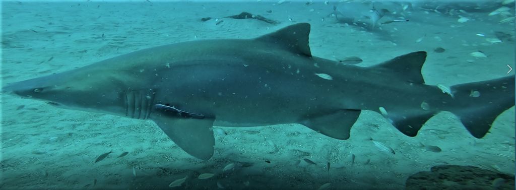 0d860f54-2400-4bc7-a39e-4852e6ba3c00