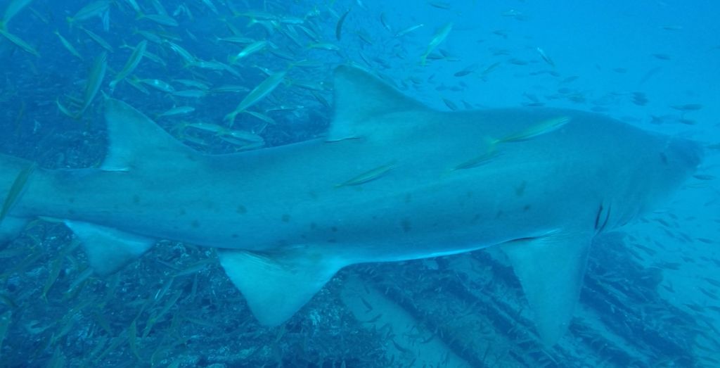 6fed1192-60e3-4b7d-91dc-360209c3e51b