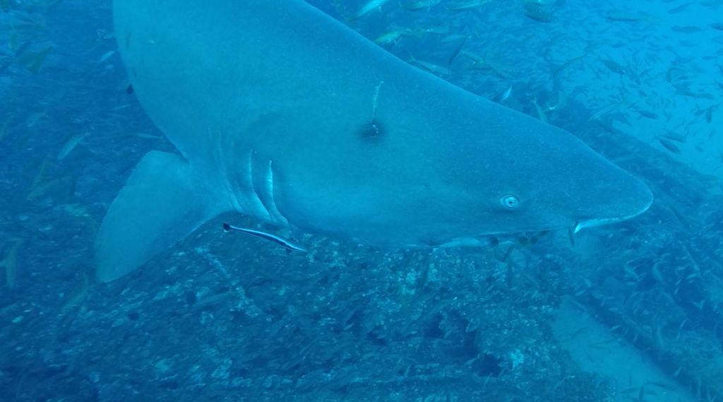 6fed1192-60e3-4b7d-91dc-360209c3e51b