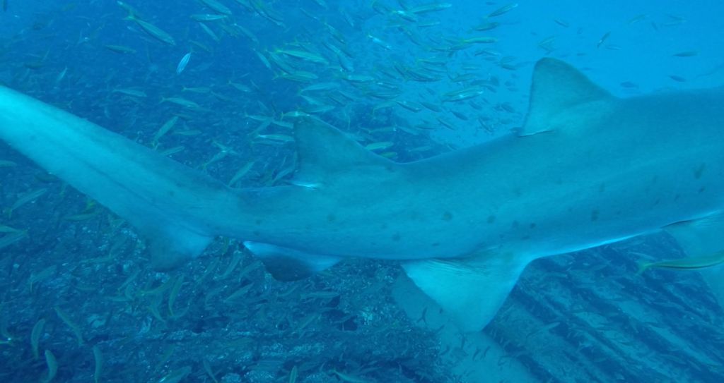 6fed1192-60e3-4b7d-91dc-360209c3e51b