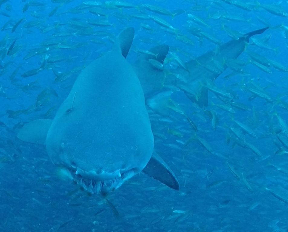 6fed1192-60e3-4b7d-91dc-360209c3e51b