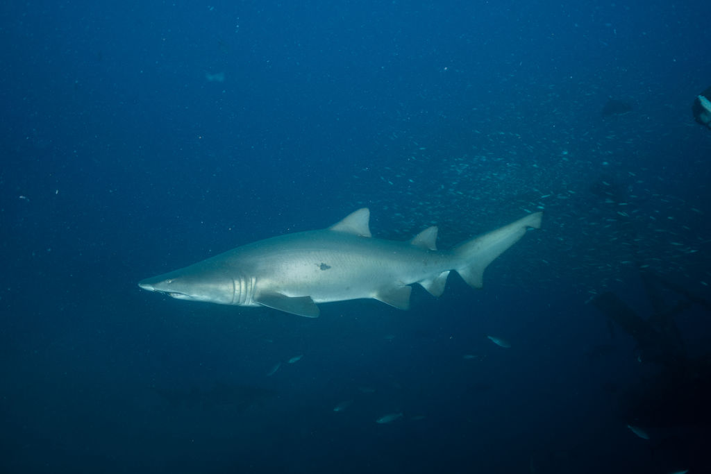 7f5377ec-afd3-49d4-a3a7-57f5bd1e8bec