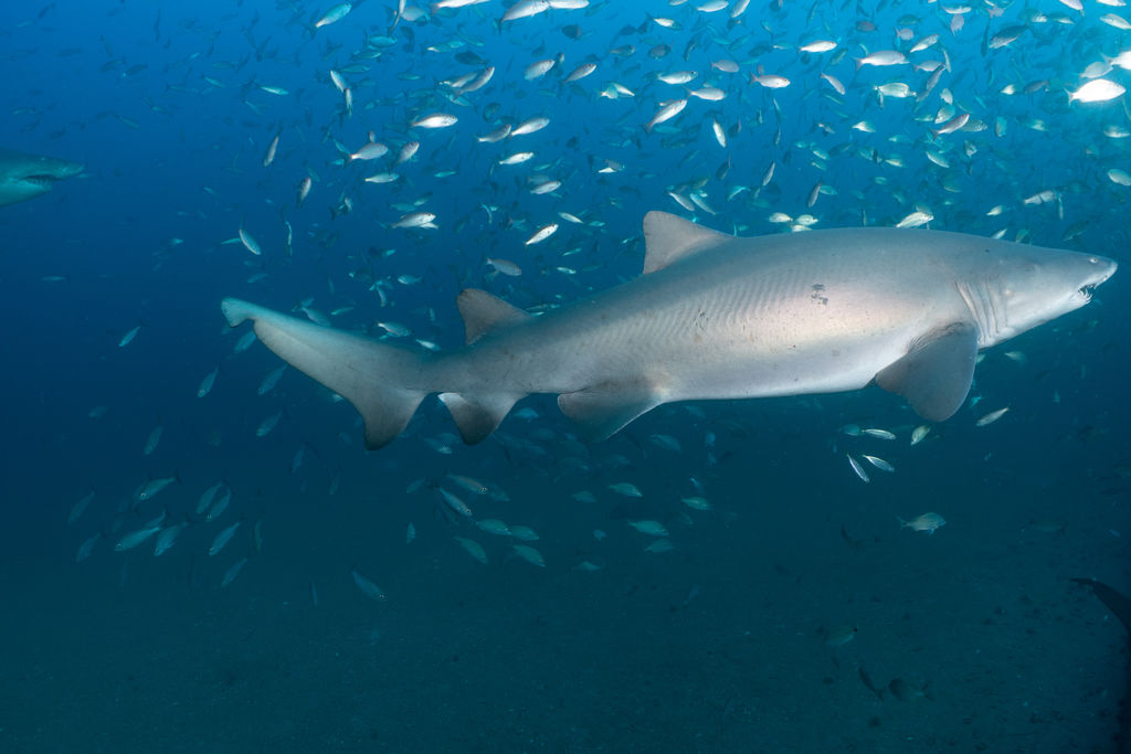 4d44b665-d6e2-4546-918a-7b682003f62f