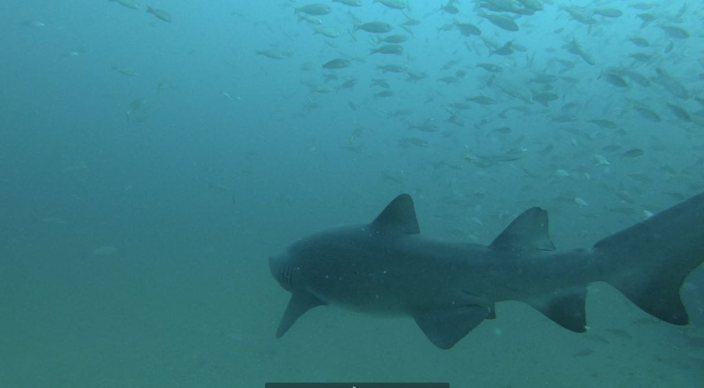 4d44b665-d6e2-4546-918a-7b682003f62f