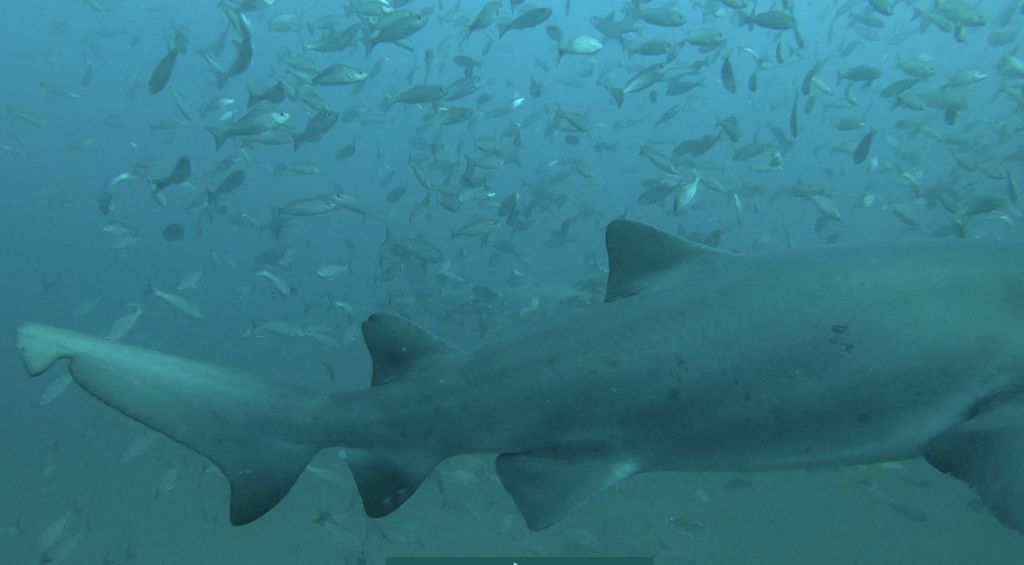 4d44b665-d6e2-4546-918a-7b682003f62f