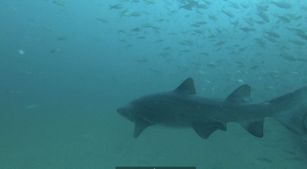 4d44b665-d6e2-4546-918a-7b682003f62f