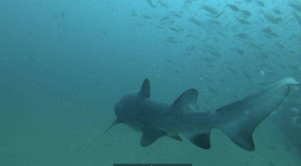 4d44b665-d6e2-4546-918a-7b682003f62f