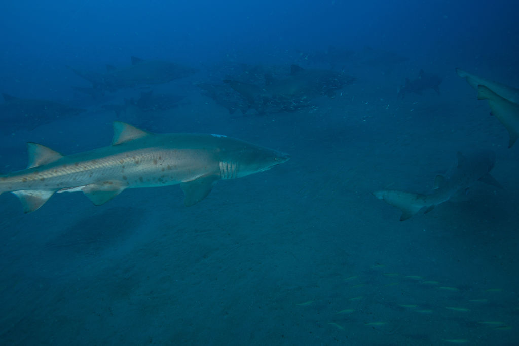 ee4ce5e9-1568-4aae-a206-a0aaad8b44d5