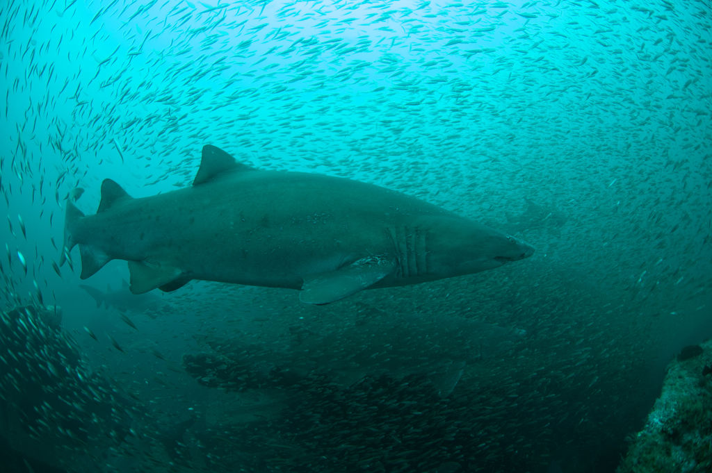 339d9d5a-a41a-4860-8a7b-493b5701eadc