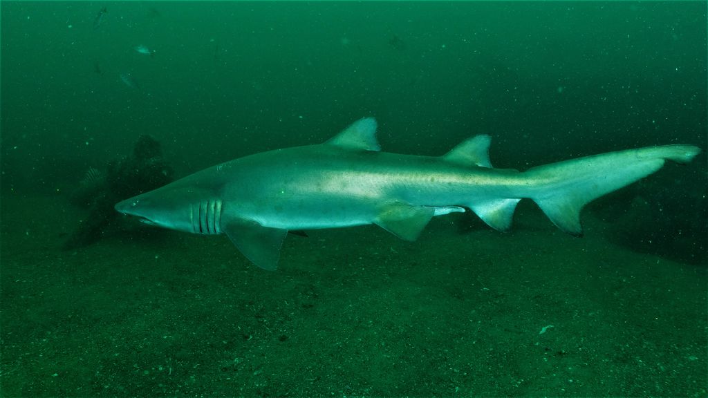 10bd51a4-8e65-41a8-81b8-8708567c724e