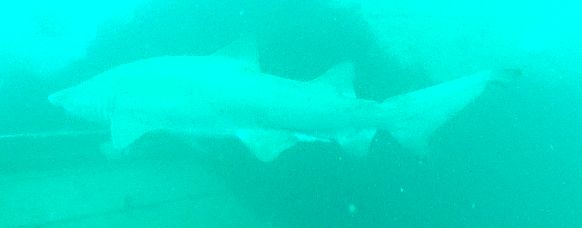 b060a27a-9806-465b-90d0-ad0be7cec1a8