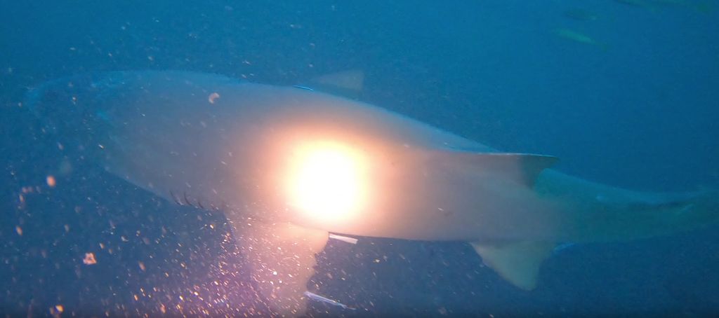 278de9bd-a582-419a-9555-9ae20787c887