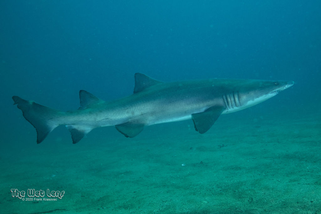 e4e2a623-f196-4a29-8432-6f3f2dc5a9dd