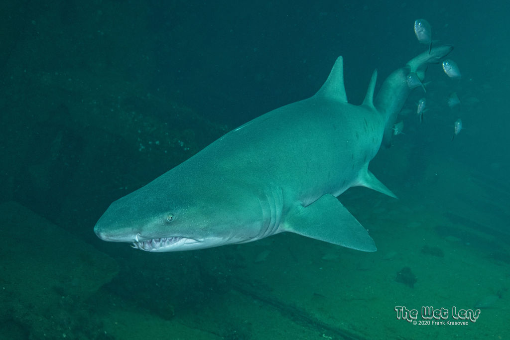 e4e2a623-f196-4a29-8432-6f3f2dc5a9dd