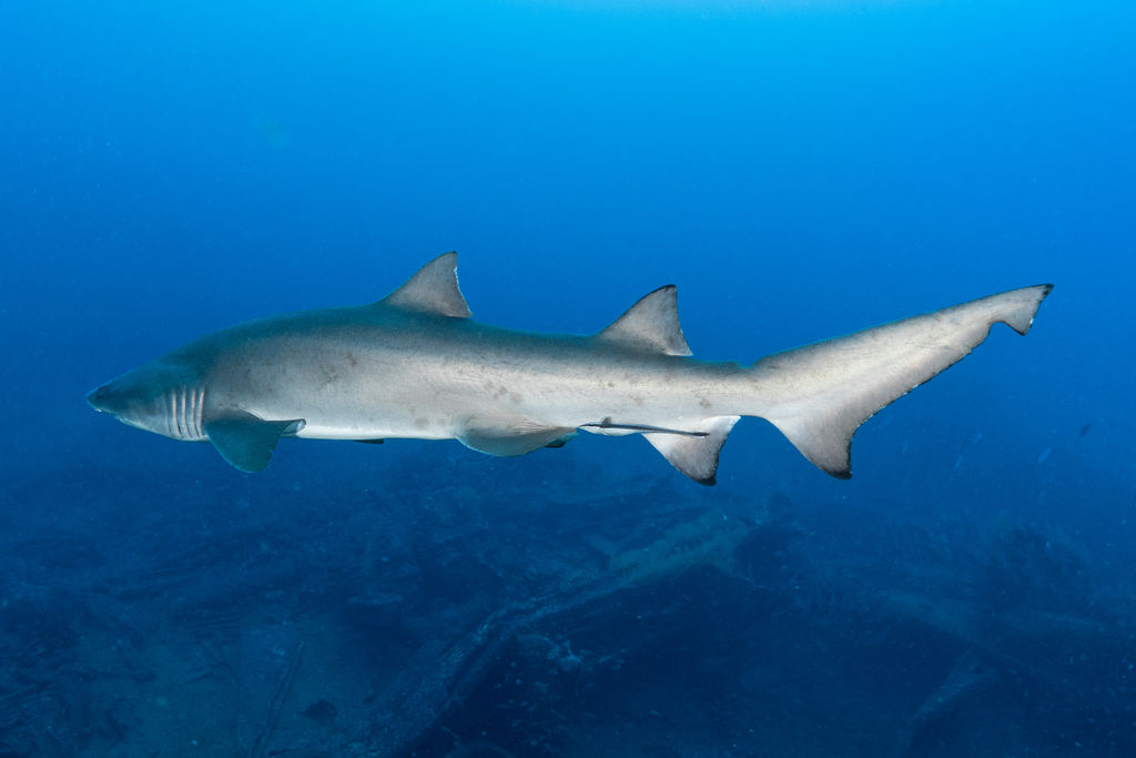 c121b161-2905-4534-872a-24d5028dd83e