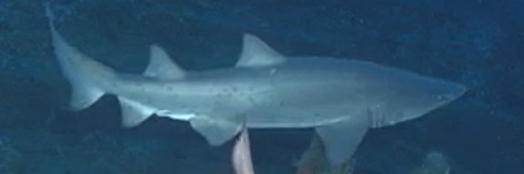 6f4b75bf-a423-46bf-bed6-2ea6edc62f82