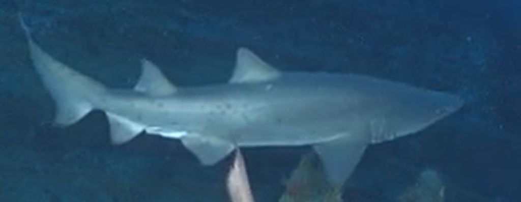 6f4b75bf-a423-46bf-bed6-2ea6edc62f82