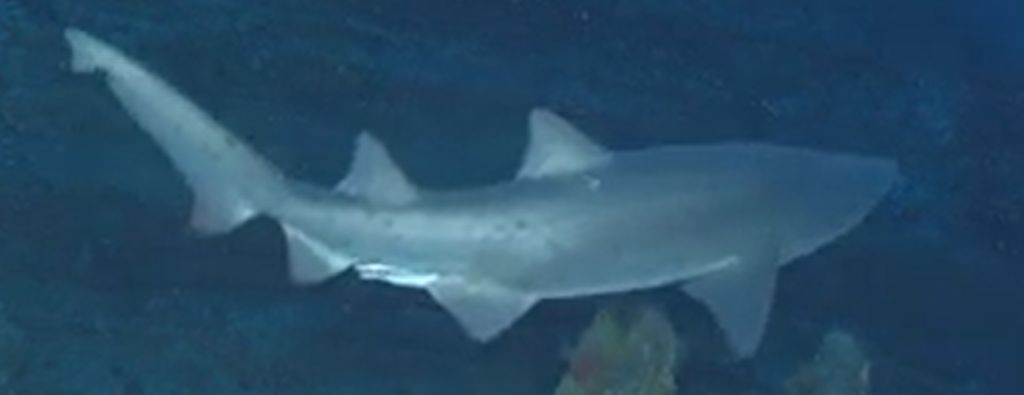 6f4b75bf-a423-46bf-bed6-2ea6edc62f82