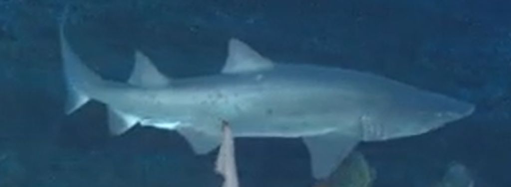 6f4b75bf-a423-46bf-bed6-2ea6edc62f82