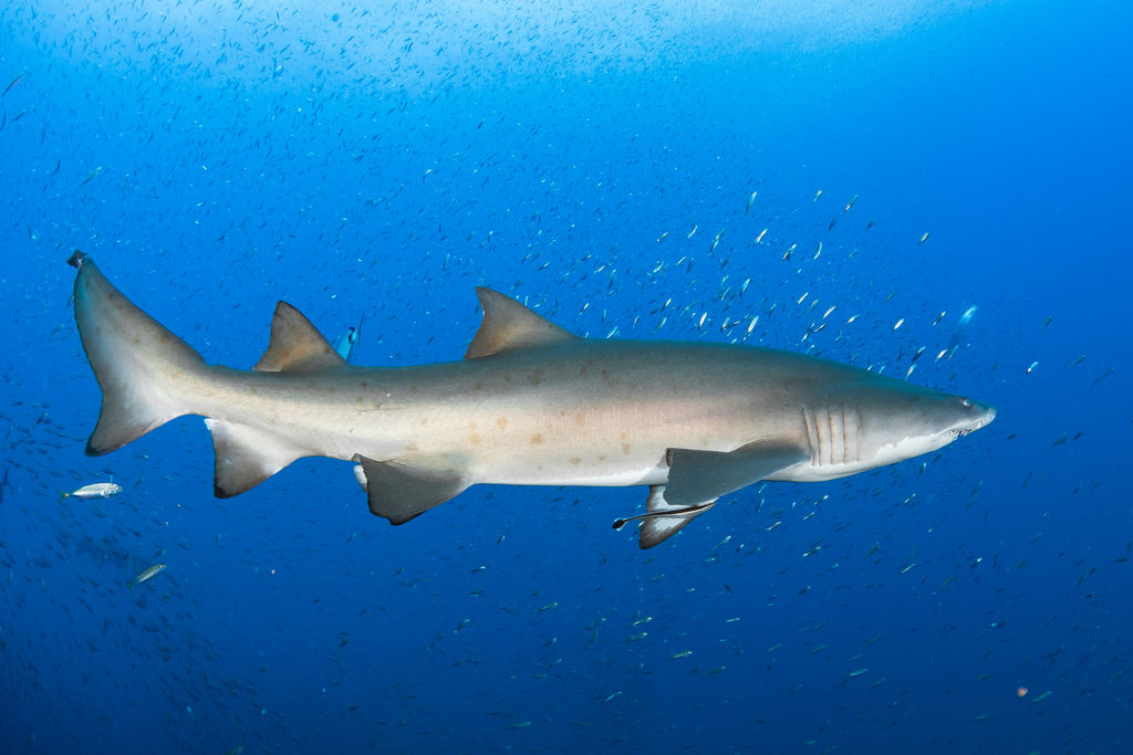 8aafe040-bad9-4b07-a380-b16c34ab1f59