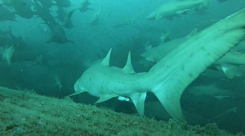 ebb929bc-620c-4160-935c-4e7c2842dfa3