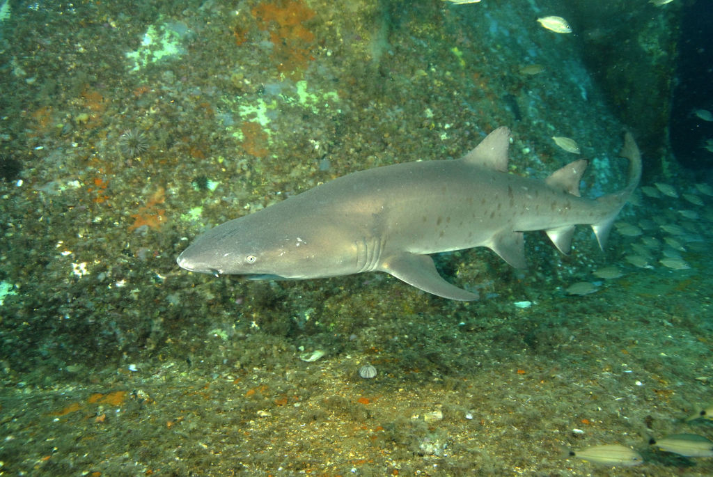 843b2589-785b-46e7-a89e-fc387413084f