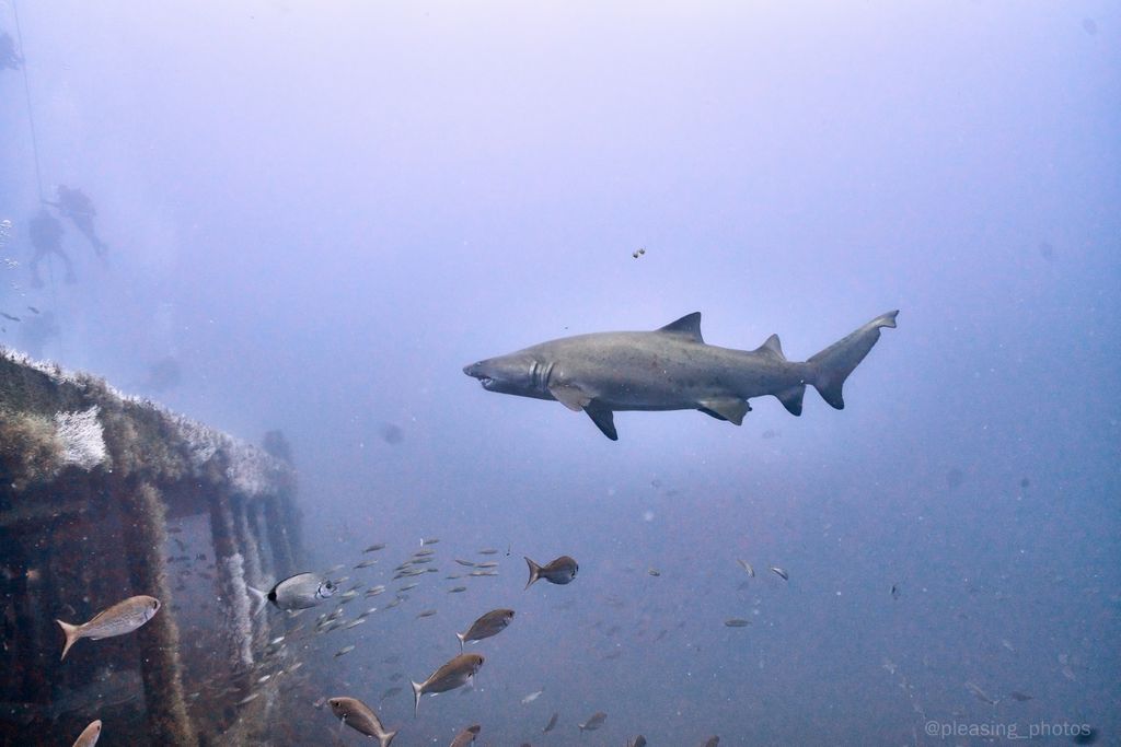 b6d7ec01-1a39-44a6-a5d8-066d577fb563