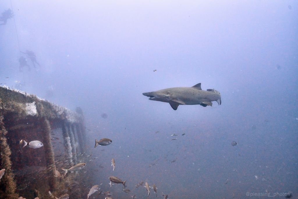 b6d7ec01-1a39-44a6-a5d8-066d577fb563