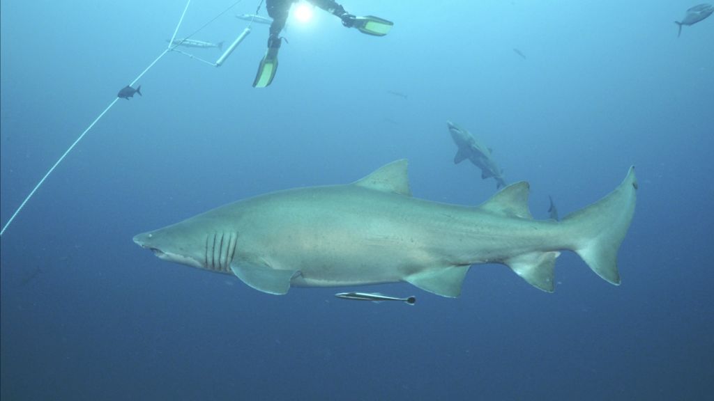 a3af06ff-02c9-4026-a2ed-3c190d6b25db