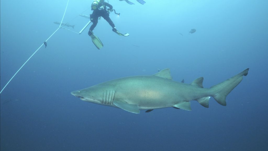 a3af06ff-02c9-4026-a2ed-3c190d6b25db