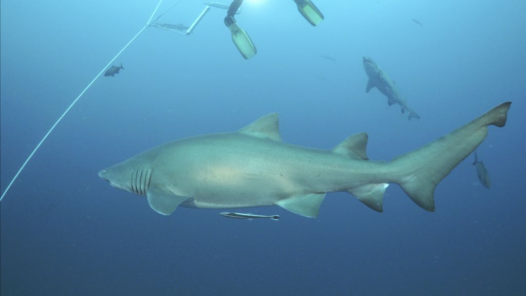 a3af06ff-02c9-4026-a2ed-3c190d6b25db