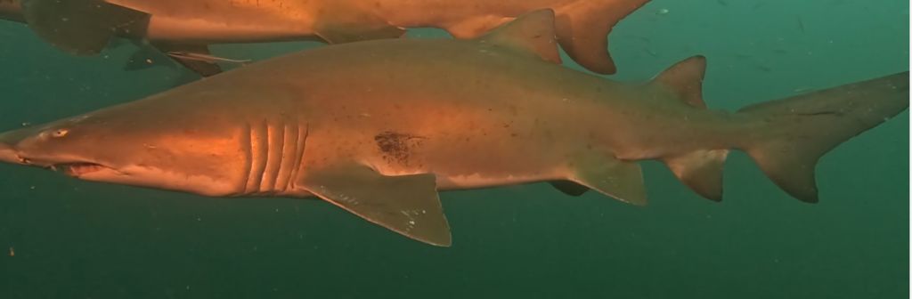 badb6447-c743-4826-8aa0-c51a0f3f0e4c