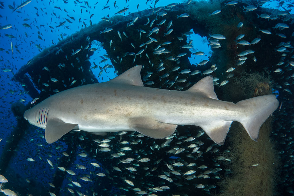 4da7ef6b-88b9-477a-8115-348ddaca1170