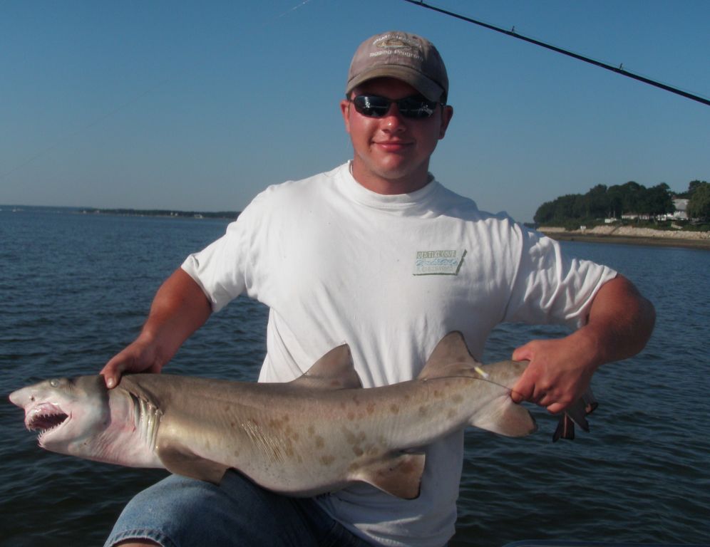 e1c1b8d8-f78a-4ba5-b2e3-ea0834a9261a