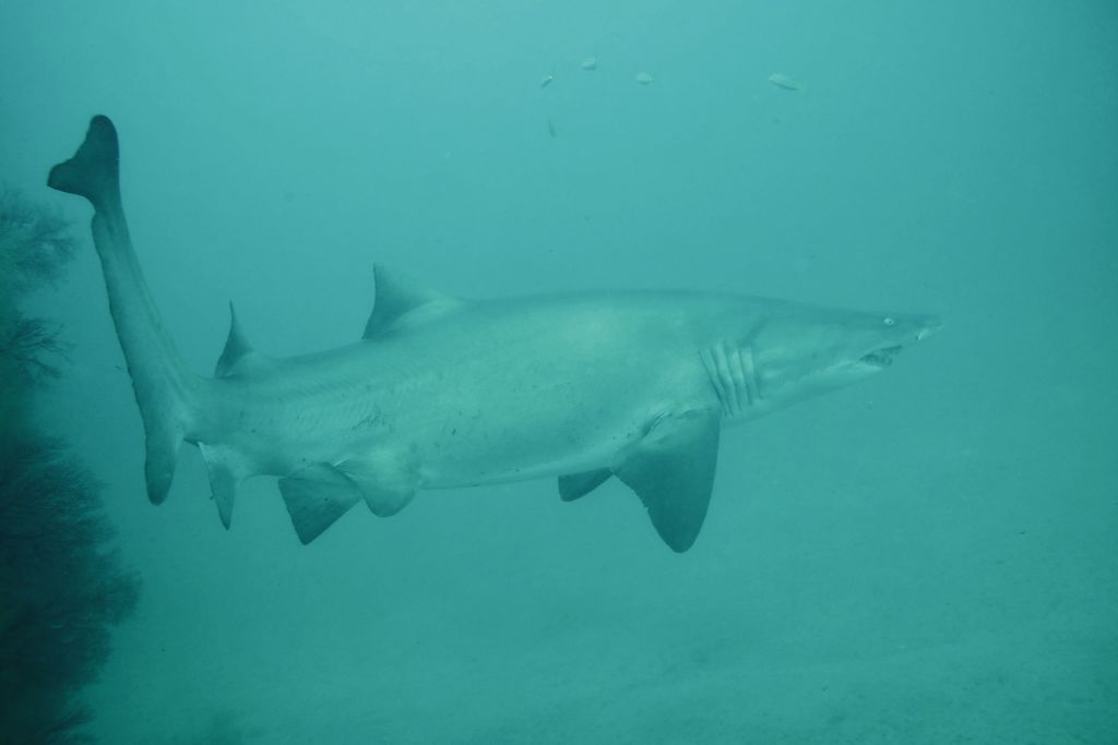 6ee802d6-6729-4580-84cb-87e682f660b6