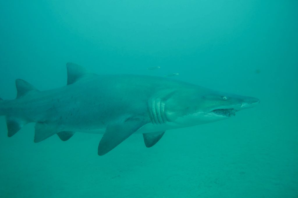 6ee802d6-6729-4580-84cb-87e682f660b6