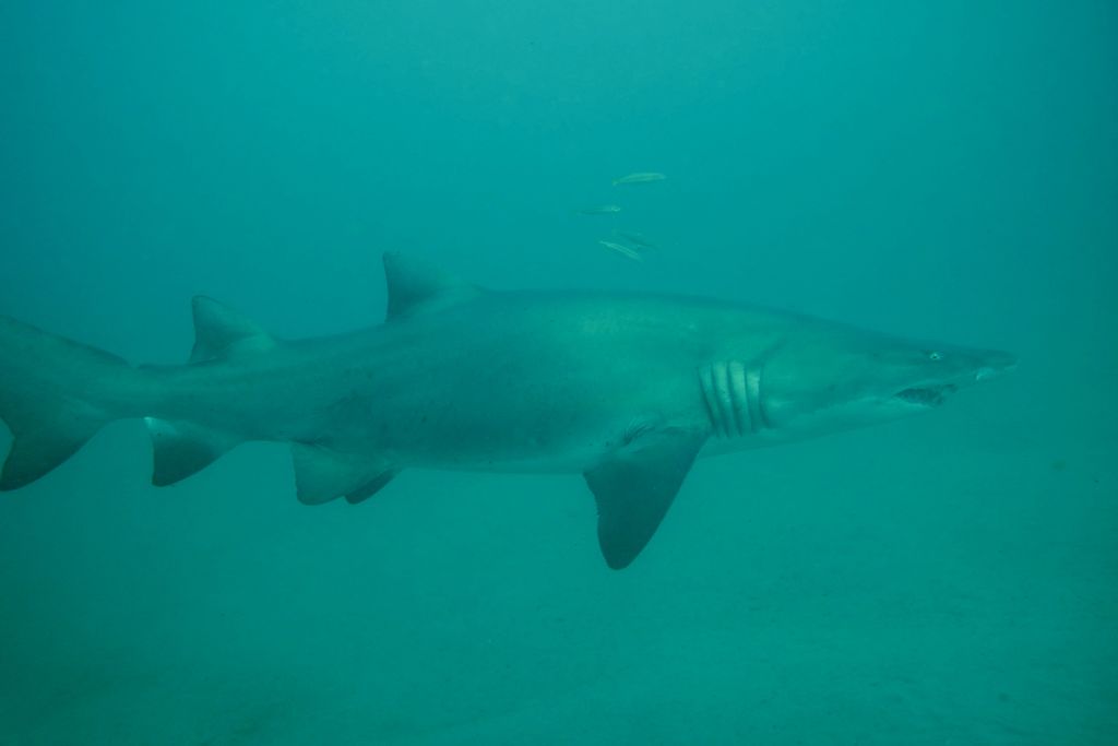 6ee802d6-6729-4580-84cb-87e682f660b6