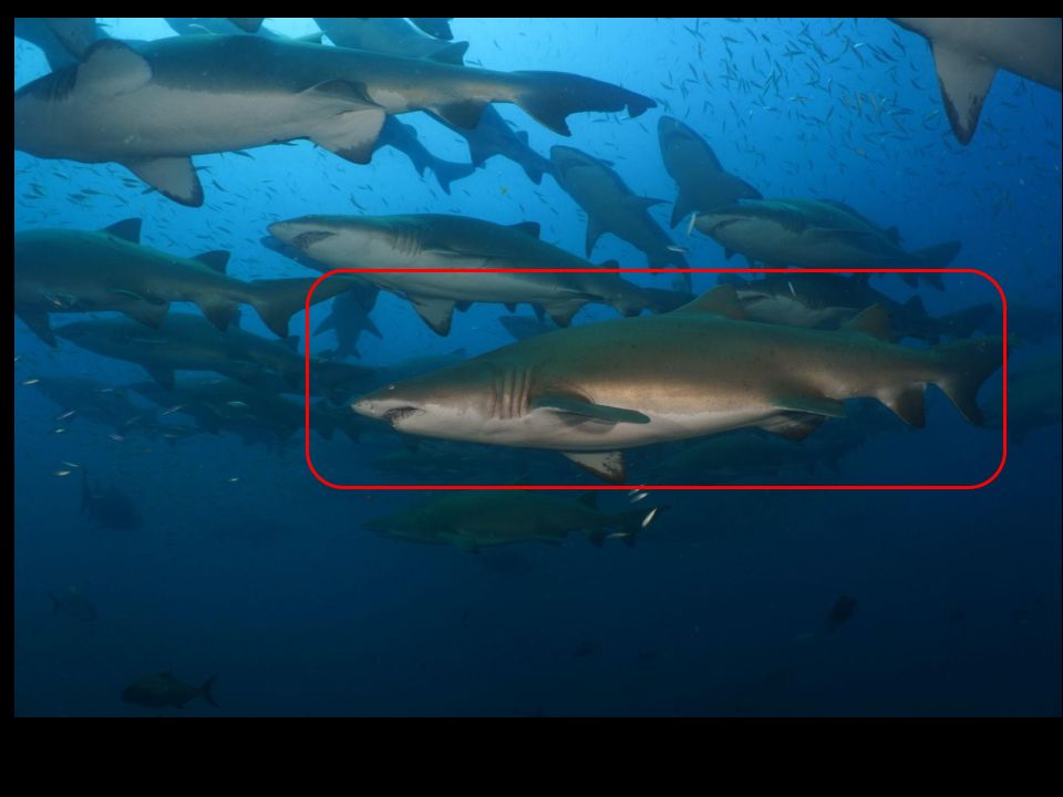 7b6bb9a4-6698-4e35-841a-fb66928453c4