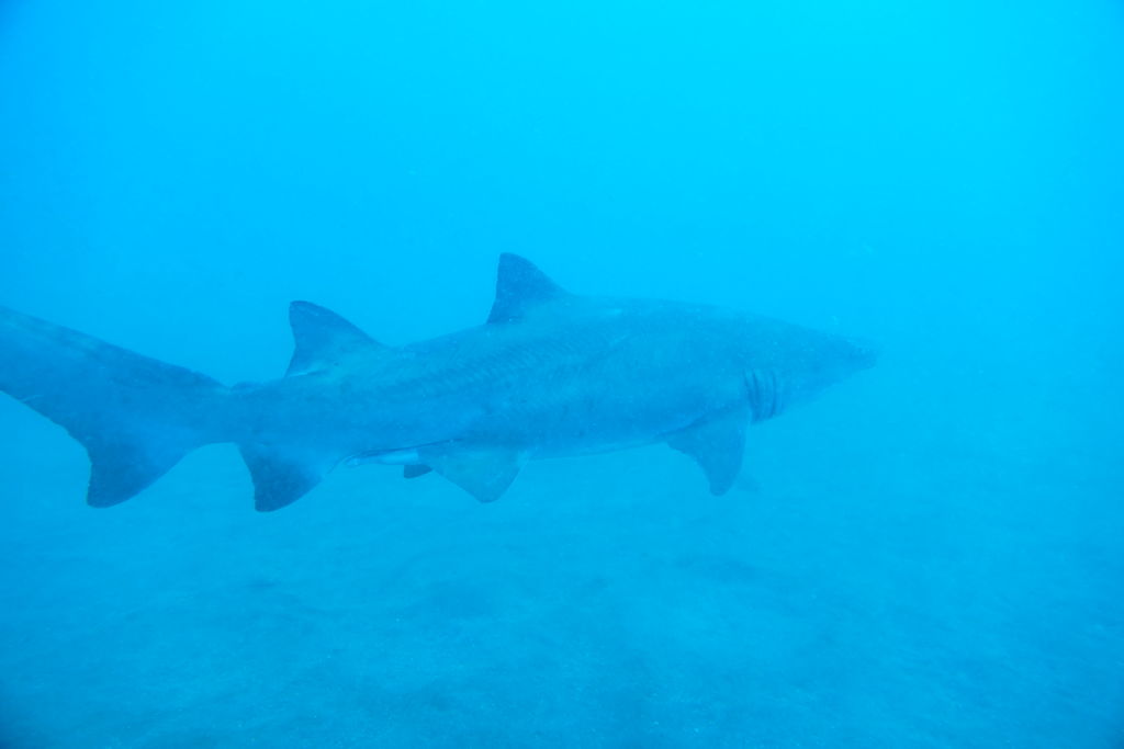 bb05e8a6-76e1-4009-a1e2-e7ea868e2c14