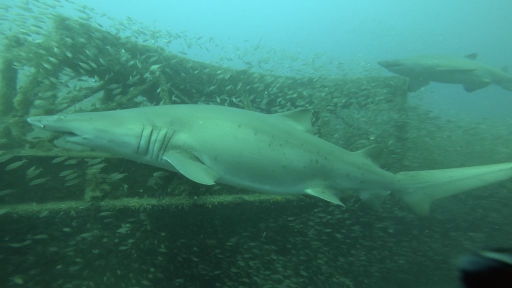 fb909adc-3da9-46d1-8f19-71d4d302bf96