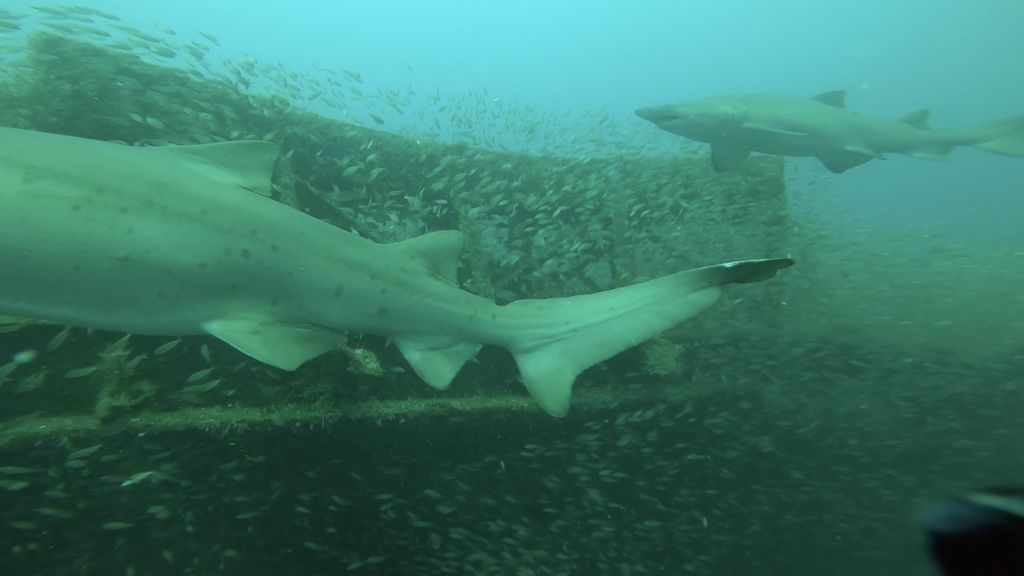 fb909adc-3da9-46d1-8f19-71d4d302bf96