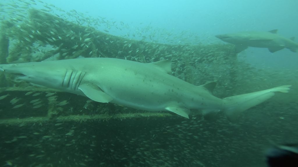 fb909adc-3da9-46d1-8f19-71d4d302bf96