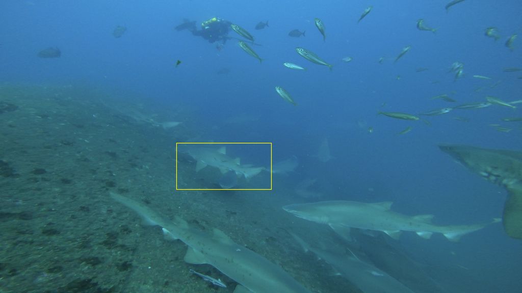 351c807b-5be1-4370-9ee9-2ee157a6e799